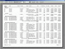 N�hled sestavy Dynamic Report